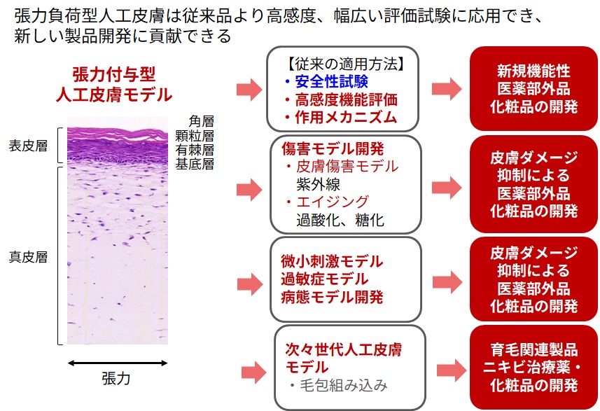 人工皮膚 図2