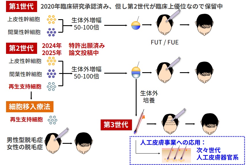 毛包再生 図2