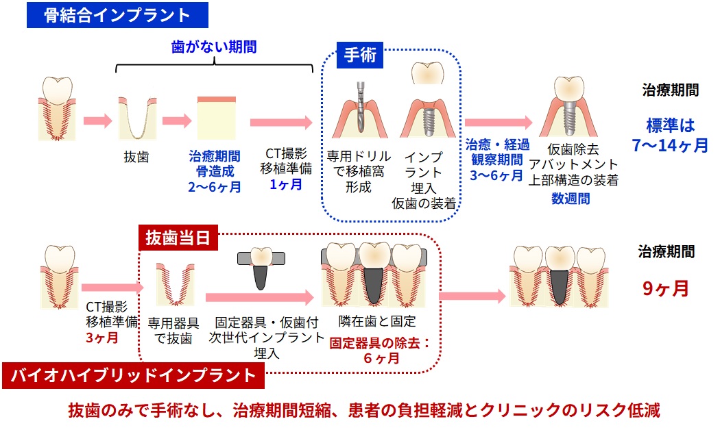 バイオハイブリッドインプラント 図2