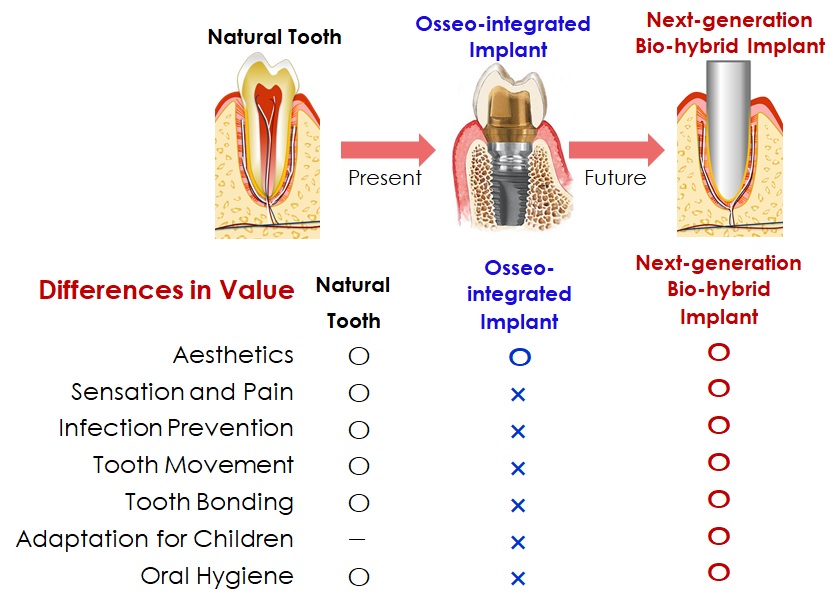バイオハイブリッドインプラント 図1