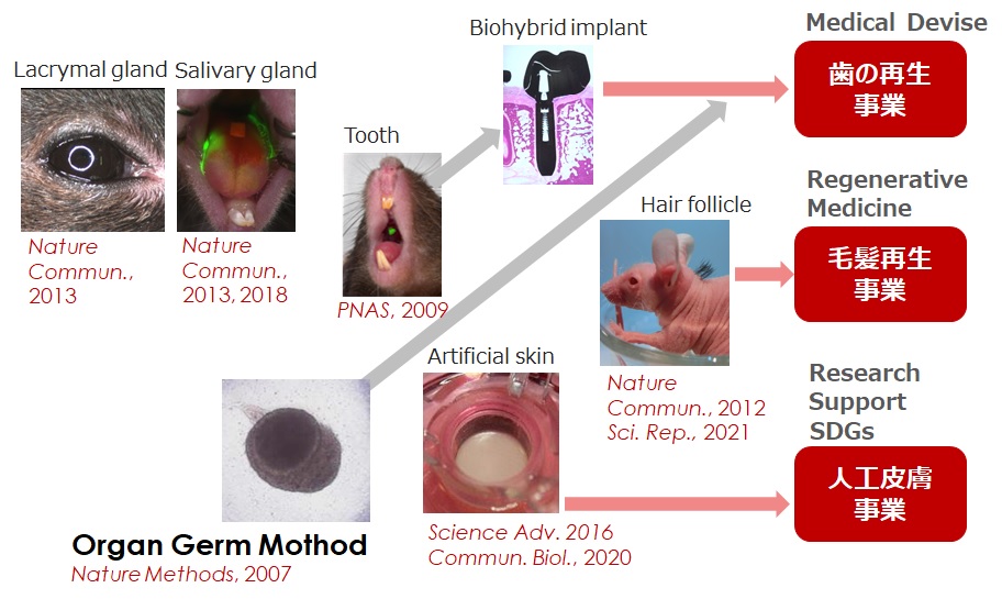 事業ステージへ