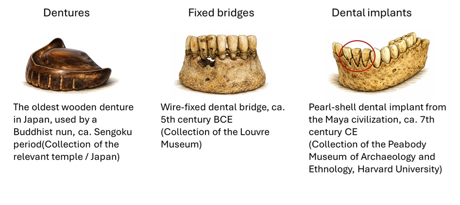 Figure 2: History of dental treatment
