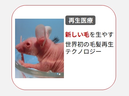 毛髪再生