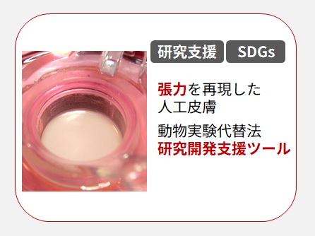 人工皮膚