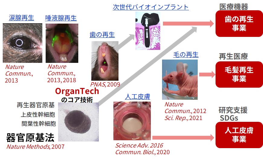 事業ステージへ
