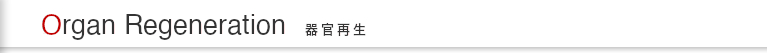 器官再生