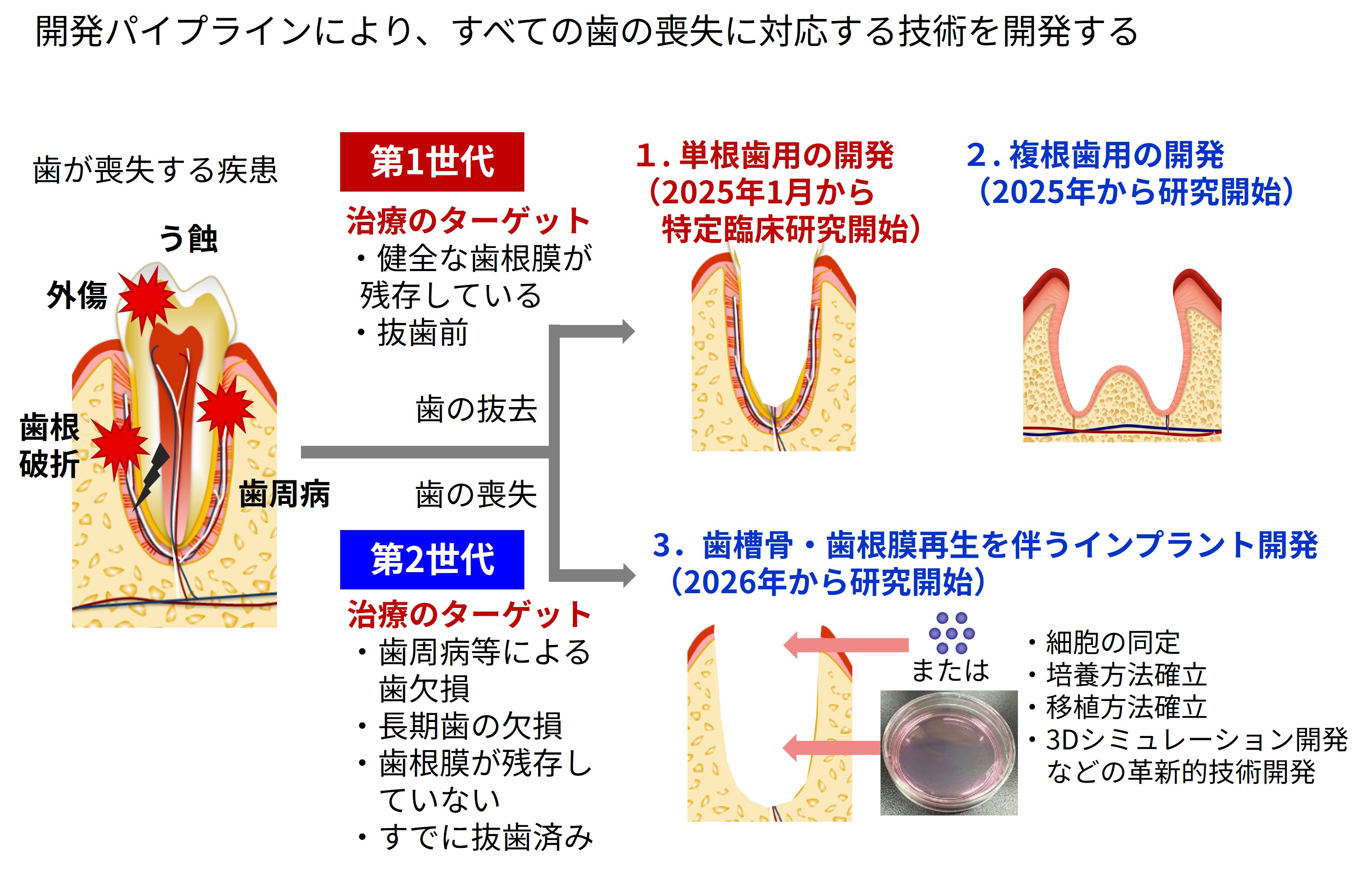 図2