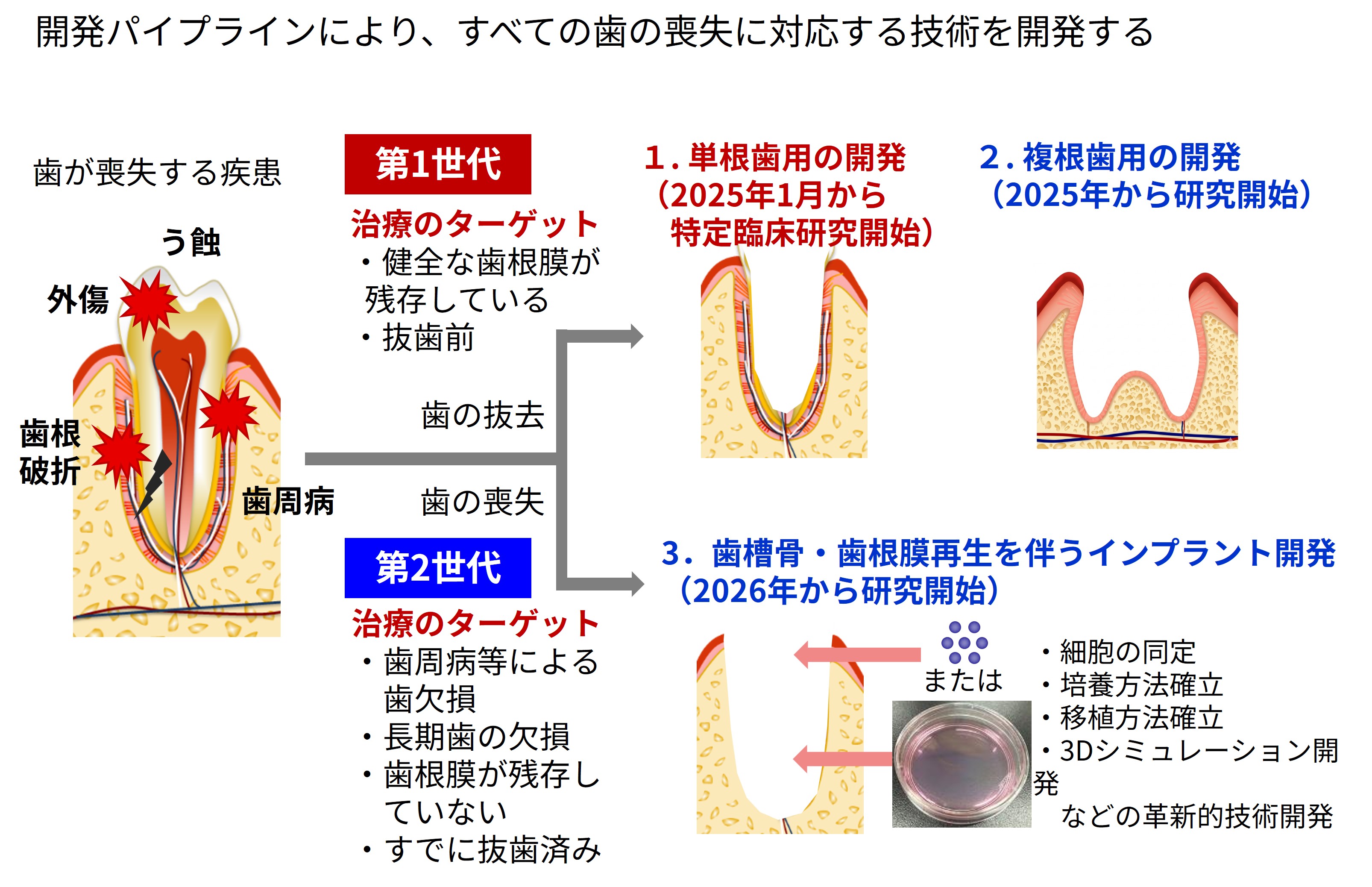 図1